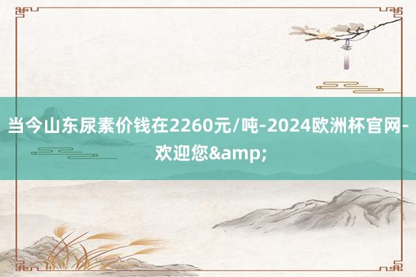 当今山东尿素价钱在2260元/吨-2024欧洲杯官网- 欢迎您&