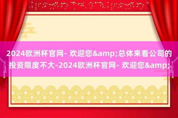 2024欧洲杯官网- 欢迎您&总体来看公司的投资限度不大-2024欧洲杯官网- 欢迎您&