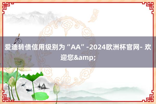 爱迪转债信用级别为“AA”-2024欧洲杯官网- 欢迎您&