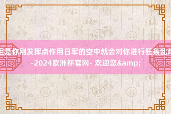 但是你刚发挥点作用日军的空中就会对你进行狂轰乱炸-2024欧洲杯官网- 欢迎您&