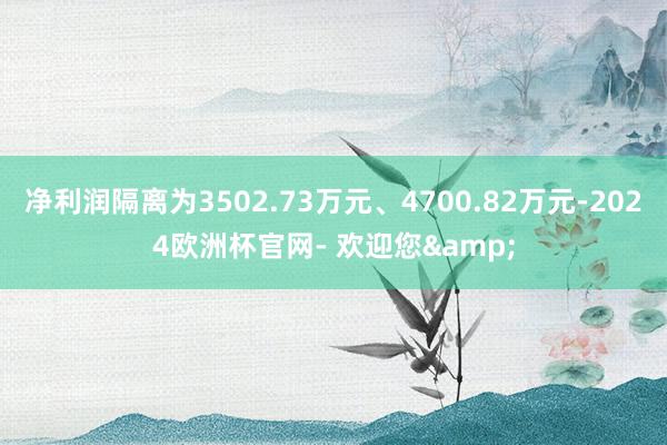 净利润隔离为3502.73万元、4700.82万元-2024欧洲杯官网- 欢迎您&