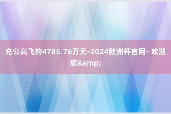 充公高飞约4785.76万元-2024欧洲杯官网- 欢迎您&