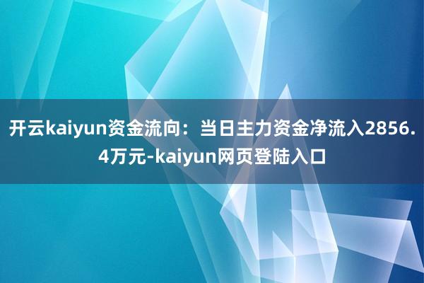 开云kaiyun资金流向：当日主力资金净流入2856.4万元-kaiyun网页登陆入口